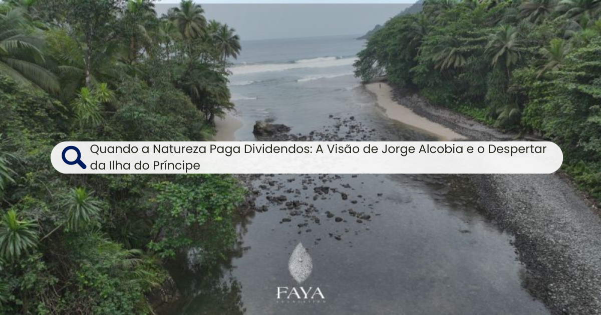 Quando a Natureza Paga Dividendos: A Visão de Jorge Alcobia e o Despertar da Ilha do Príncipe