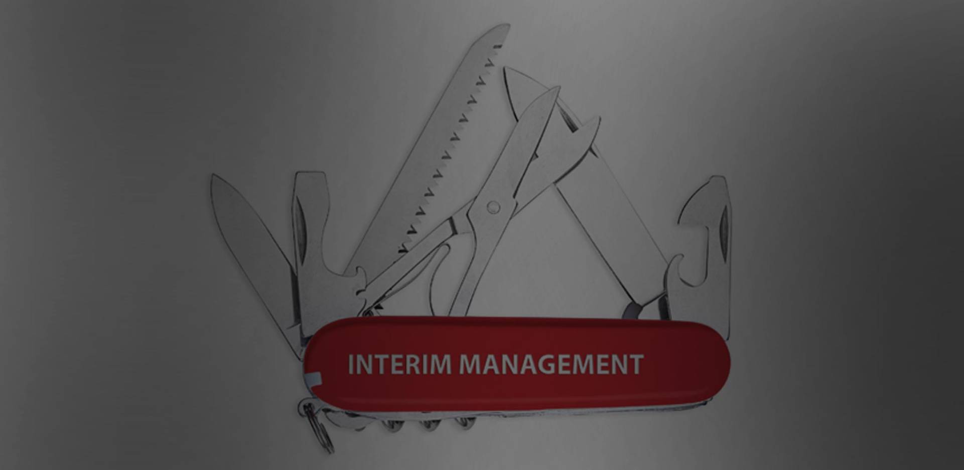 interim management